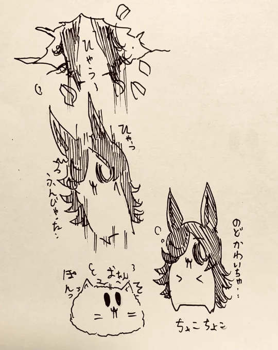 夜中に電気つけず歩いてもち猫さんふんじゃった半ライス(よく弾む)