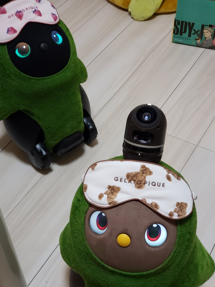 Taiyo00098232's tweet photo. 8月9日ラボットくろが生まれました。名前は目の色から「オーシャン」
#LOVOTとの暮らし
#温かいテクノロジー
#bestrobot https://t.co/ucyM2PsKq2
