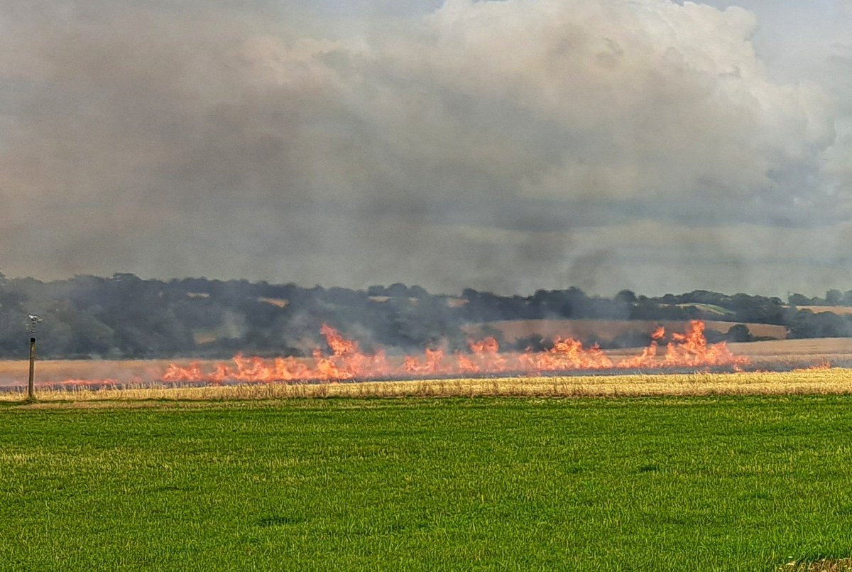 ckidman85's tweet photo. The quick reactions of local farmers and swift response by @ECFRS crews from @walden_fire_stn #Thaxted and #Harlow saw this standing crop fire in #GreatSampford soon brought under control on Friday evening #Harvest2023 #Essex https://t.co/p2hAO3p6Dp