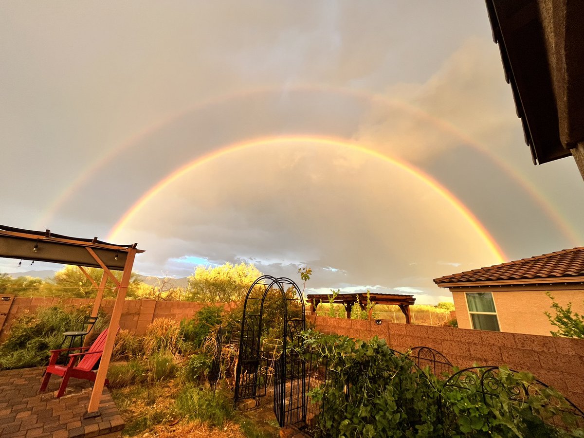 Rainbow after rainfall in my backyard