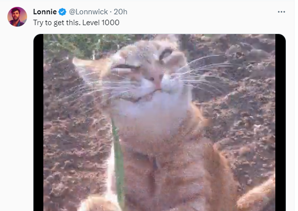 LazyCoffJelli tweet media