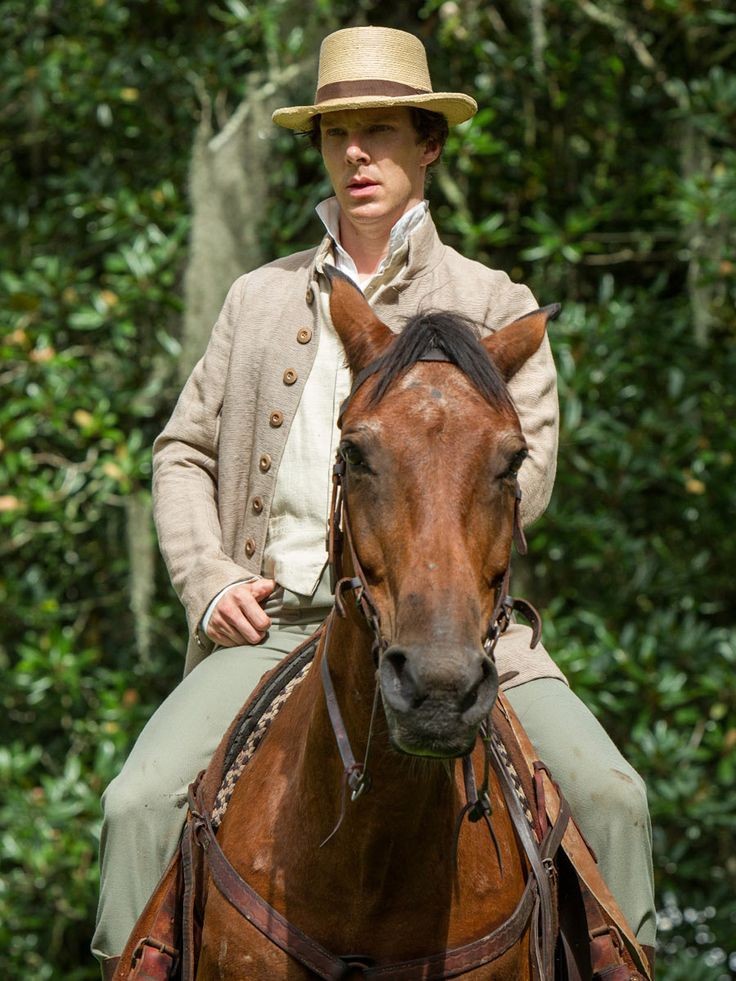 a_victoriangirl's tweet photo. #BrownBatch brown horse https://t.co/KfH0j4GKTn