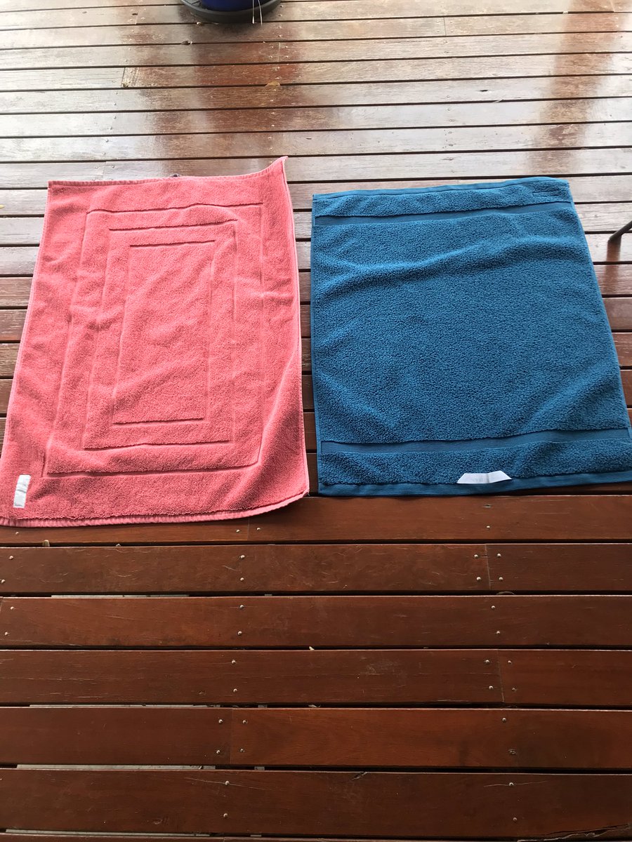 Carol Rose tweet media