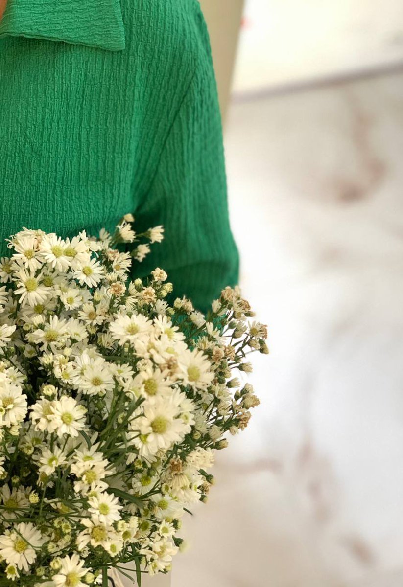 Mf _nf1440 tweet media