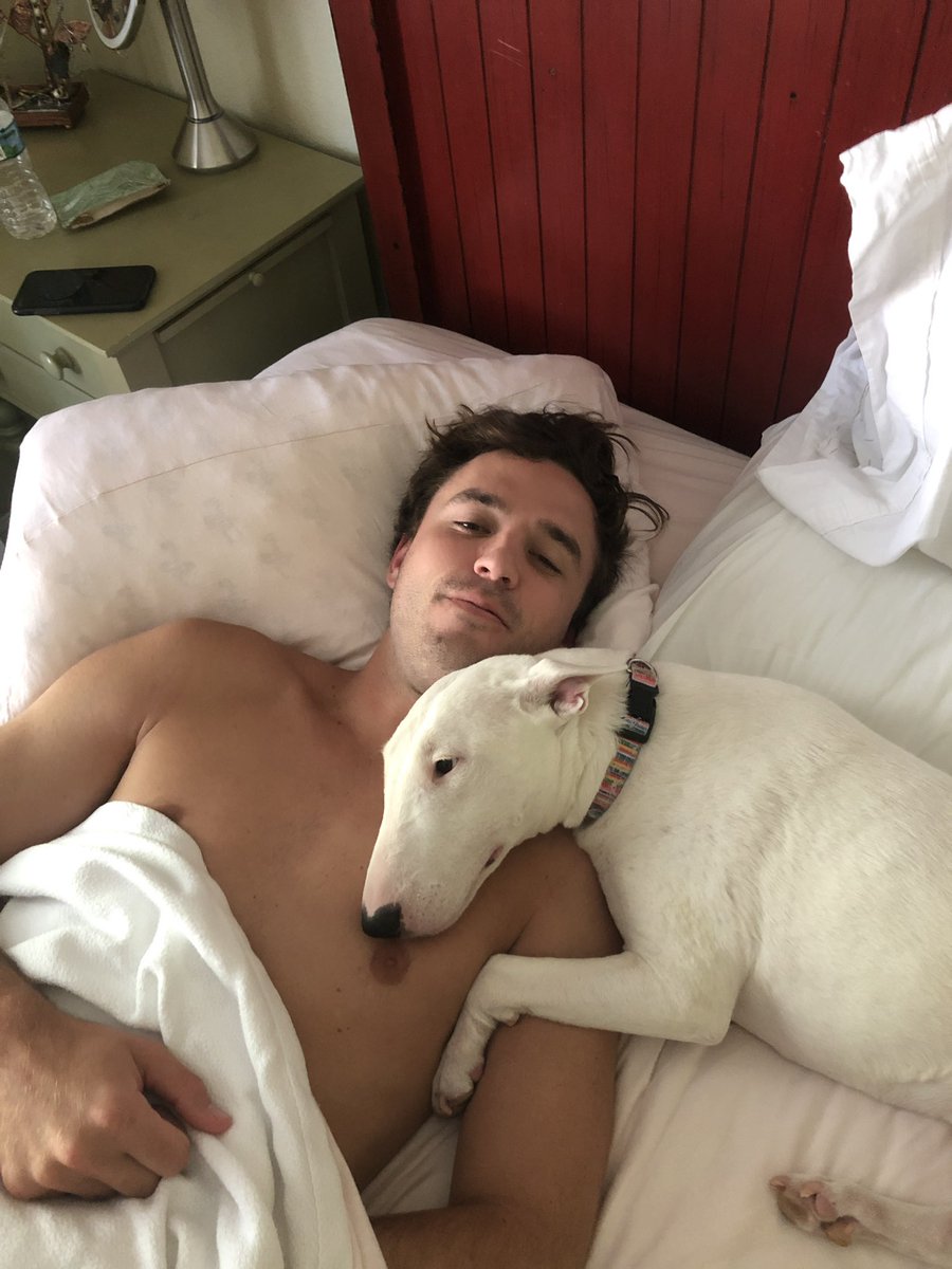 AvaDelcharco's tweet photo. Nothing can prepare you for losing your soul dog. 8 years wasn’t nearly enough. F*ck doggy cancer 💔 https://t.co/1ACap8TL9l