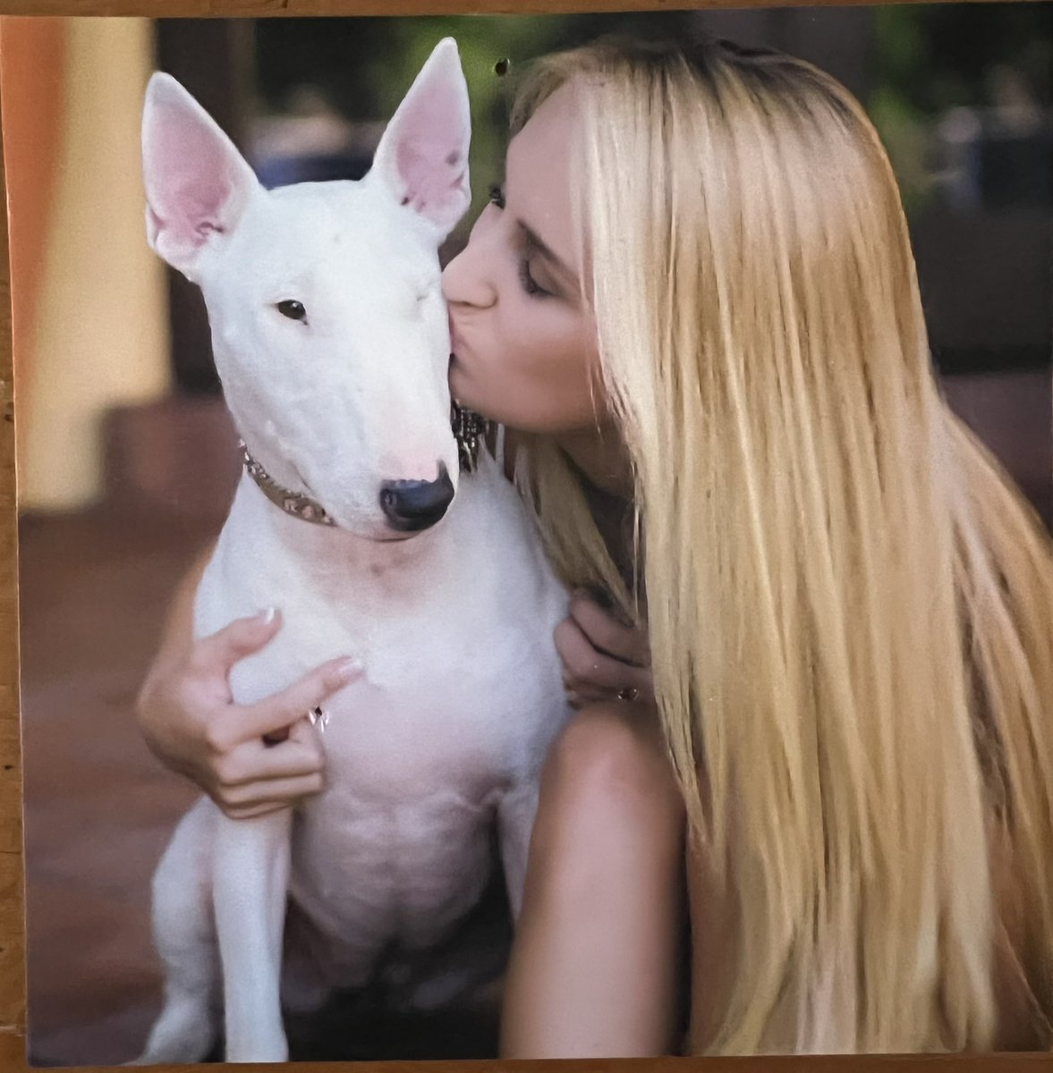 AvaDelcharco's tweet photo. Nothing can prepare you for losing your soul dog. 8 years wasn’t nearly enough. F*ck doggy cancer 💔 https://t.co/1ACap8TL9l