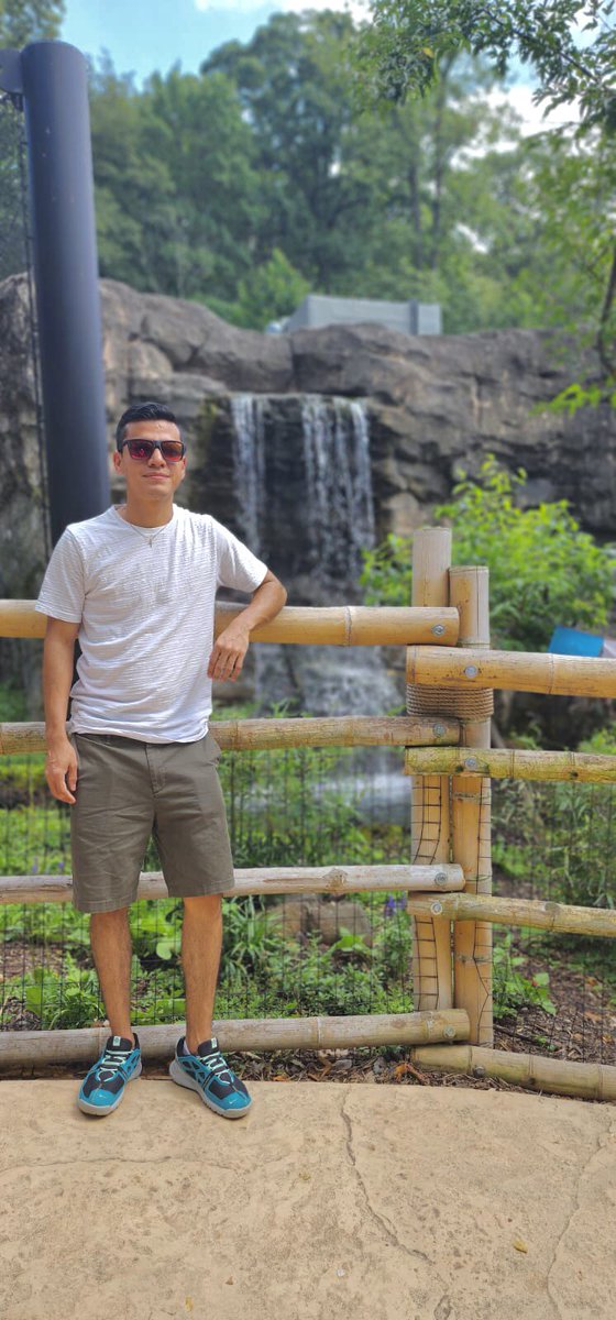 frankvasquezm1's tweet photo. #TurtleBackZoo https://t.co/NeULXLHgPS