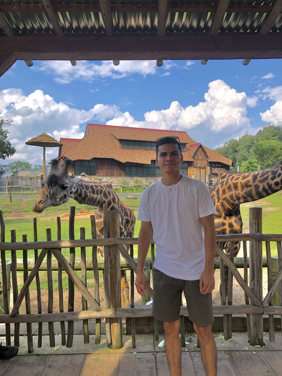 frankvasquezm1's tweet photo. #TurtleBackZoo https://t.co/NeULXLHgPS