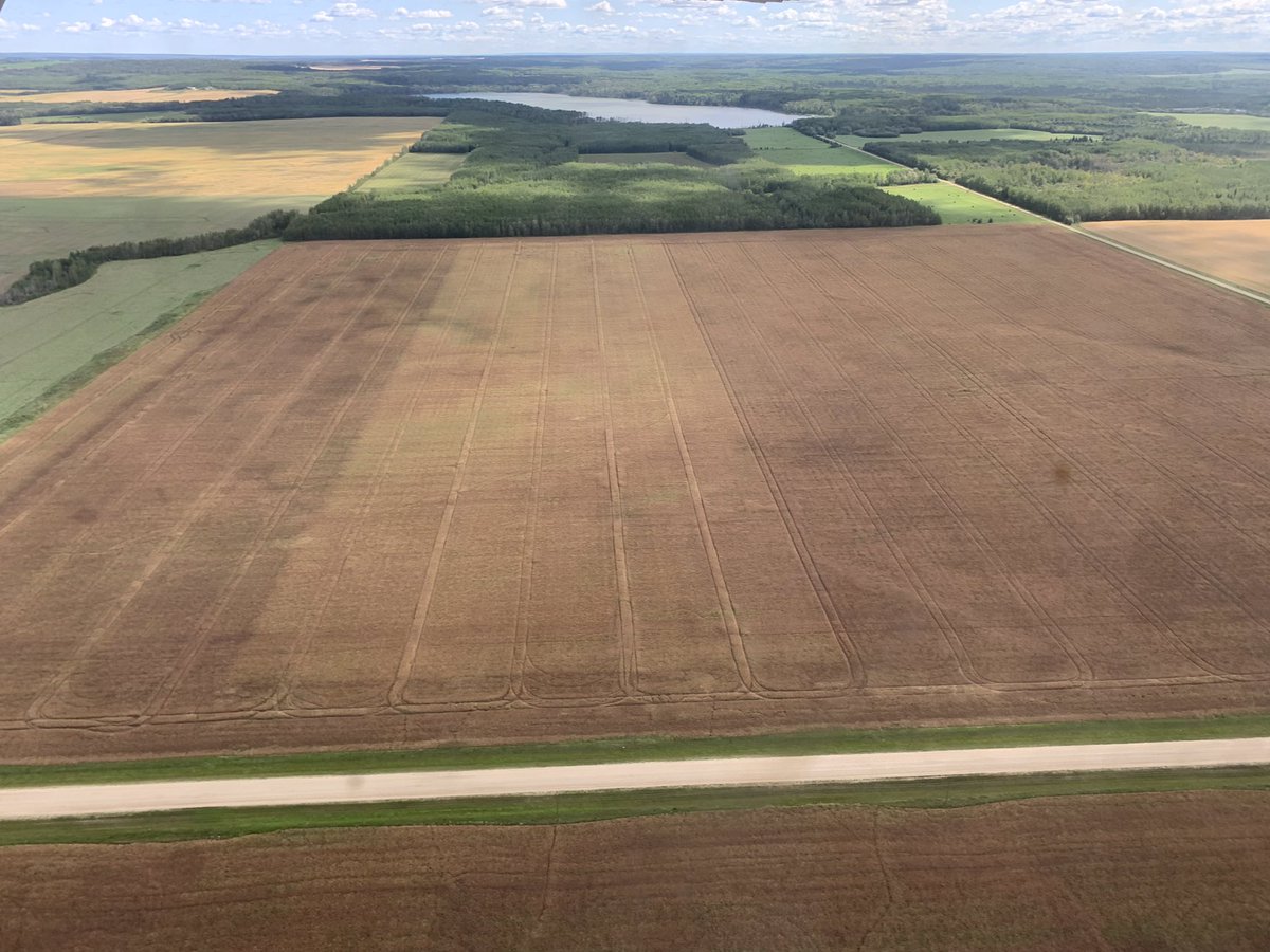 Jerome 🧢 tweet media