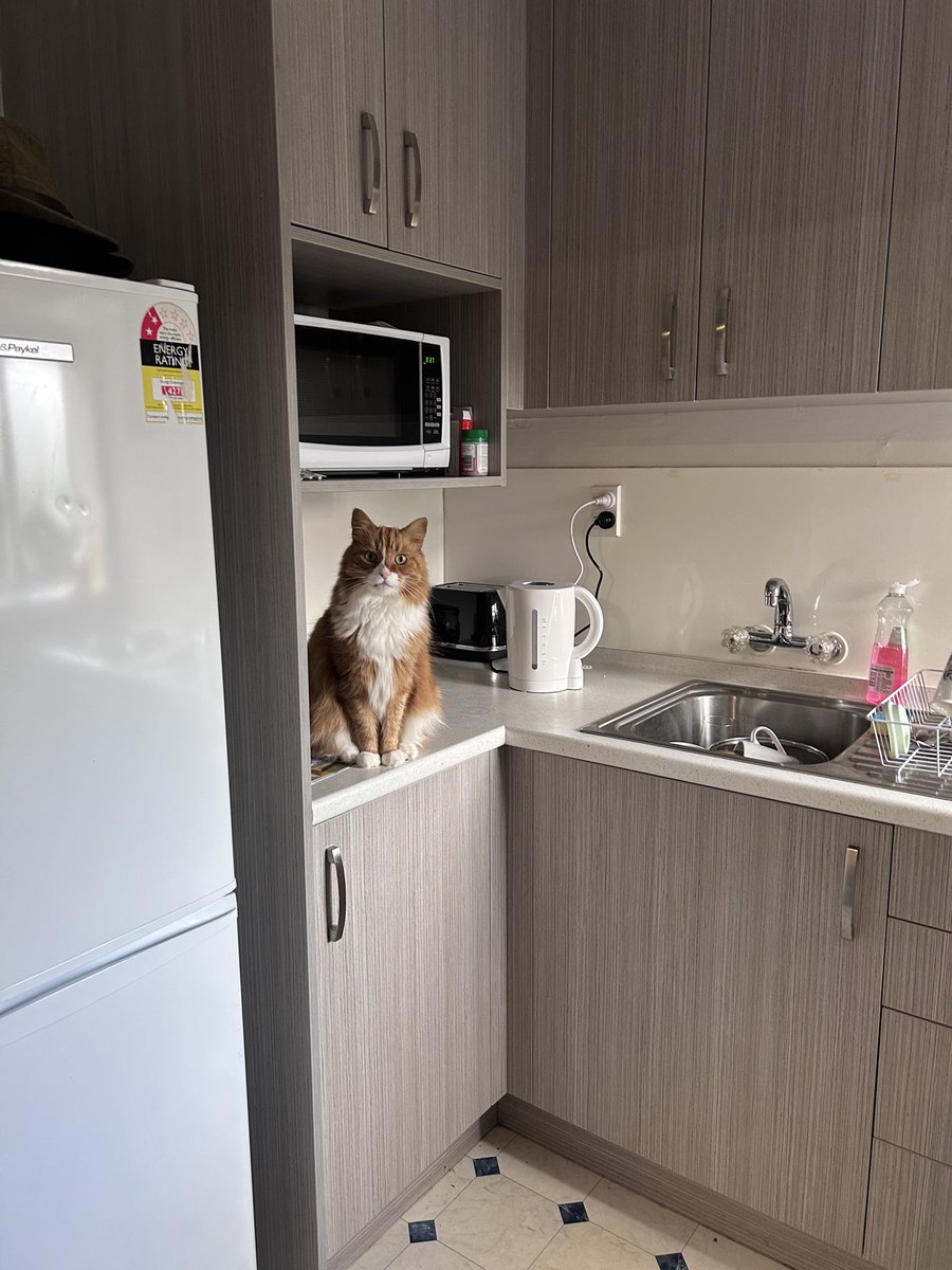 Rachel Jones tweet media