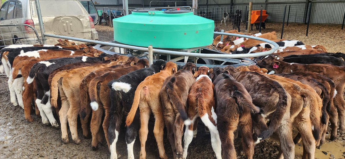 Brian Corr tweet media