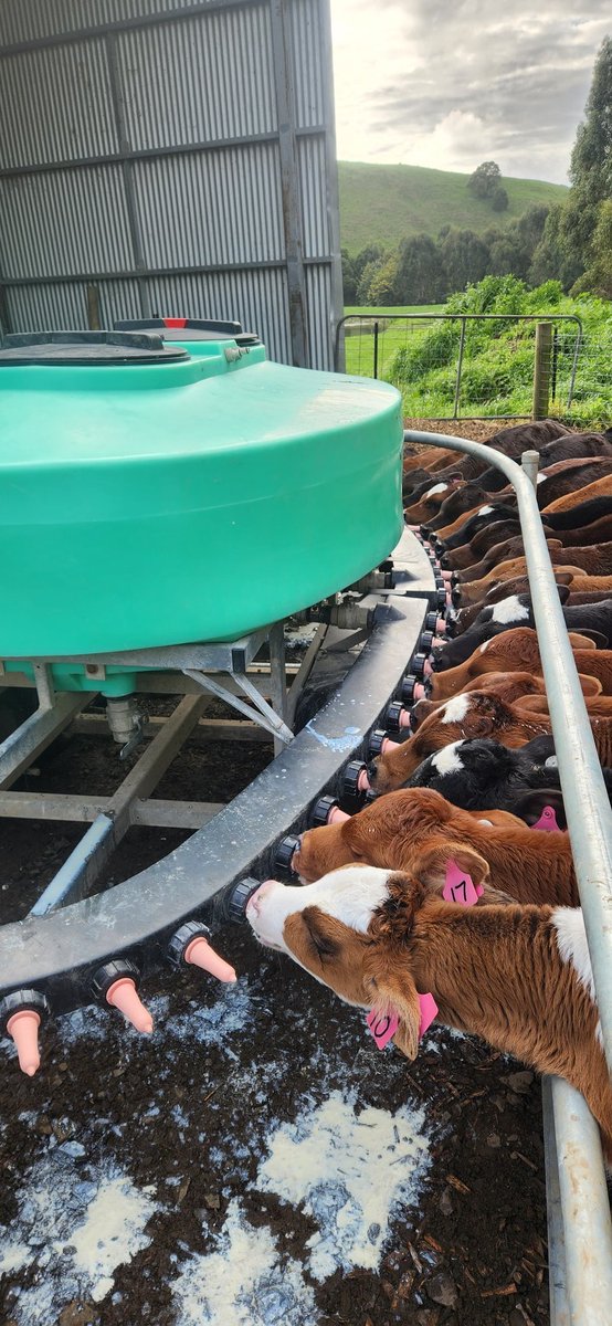 Brian Corr tweet media