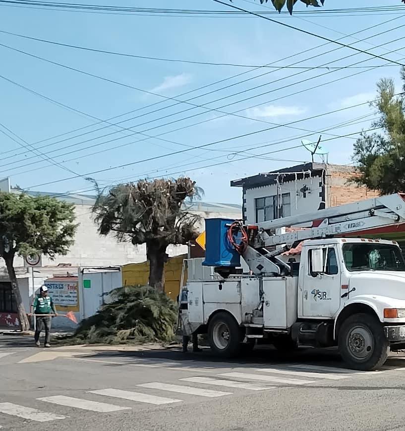 rubikaudio's tweet photo. Checate esto @RobertoCabreraV oportunidad enorme si tomas acción.

San Juan del Río tiene potencial turístico y ecológico si hay un manejo adecuado de estos recursos que se podan hasta perderlos. #ArbolUrbano @arboles_magicos https://t.co/Crs5ysFand