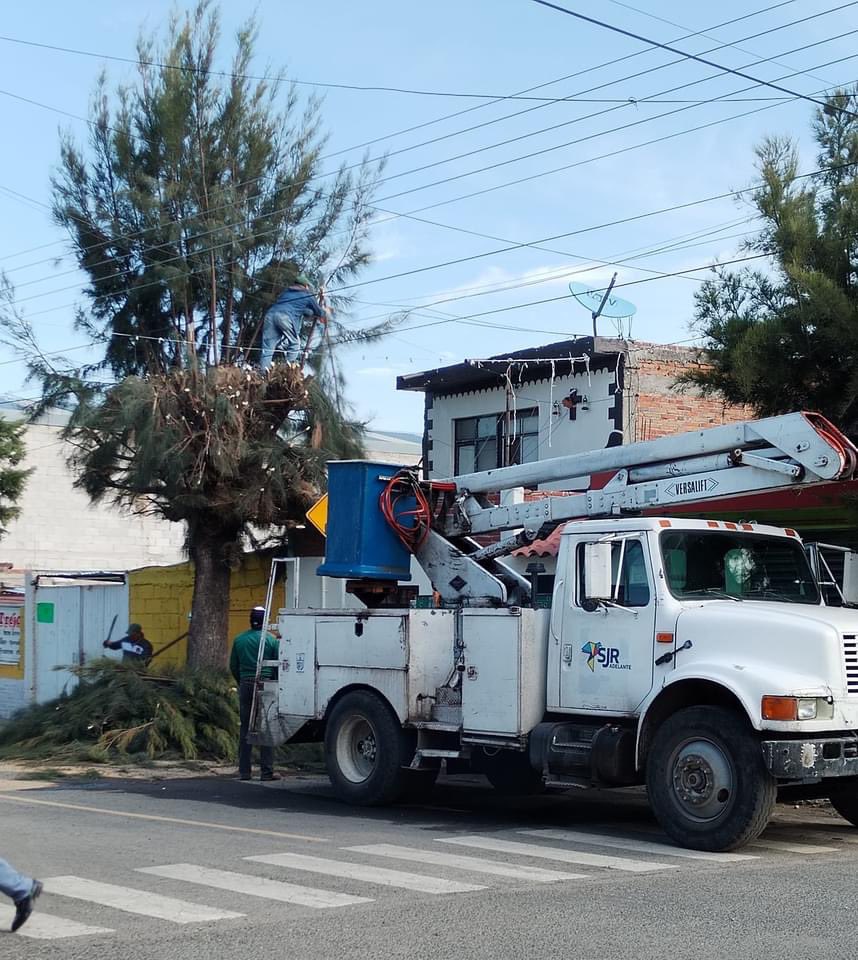 rubikaudio's tweet photo. Checate esto @RobertoCabreraV oportunidad enorme si tomas acción.

San Juan del Río tiene potencial turístico y ecológico si hay un manejo adecuado de estos recursos que se podan hasta perderlos. #ArbolUrbano @arboles_magicos https://t.co/Crs5ysFand