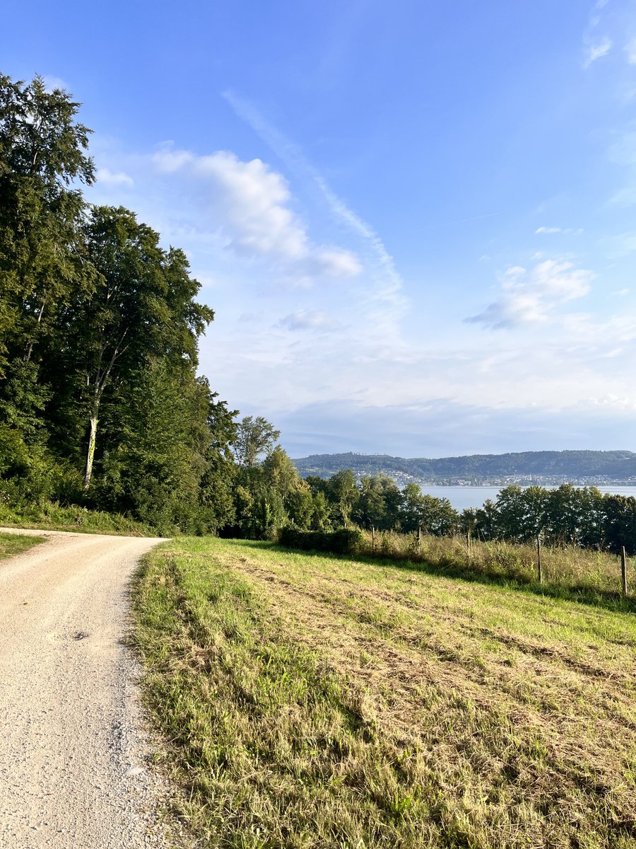 Laufen am Bodensee. Das ist eine geküsste Landschaft!