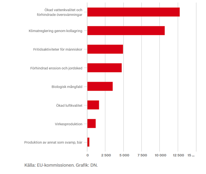 KarlOlofBergman's tweet photo. Intressant rapport från EU-kommisionen. Dags att ta ett bredare grepp på skogens värden?

EU kommissionen: Betala skogsägare för att lagra kol https://t.co/xIAesGgna4 https://t.co/7nJwzK6Umw