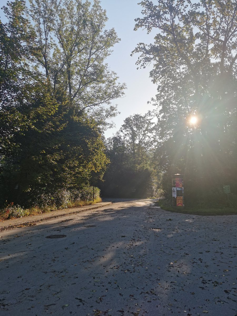 BraveClaire's tweet photo. Light comes in☀️ https://t.co/TS2WDi2jKb