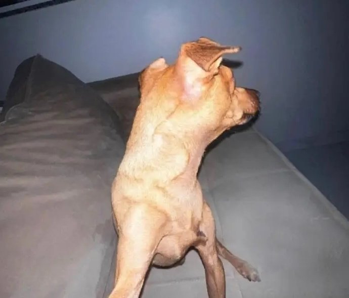 todos conocemos a alguien que se toma fotos así