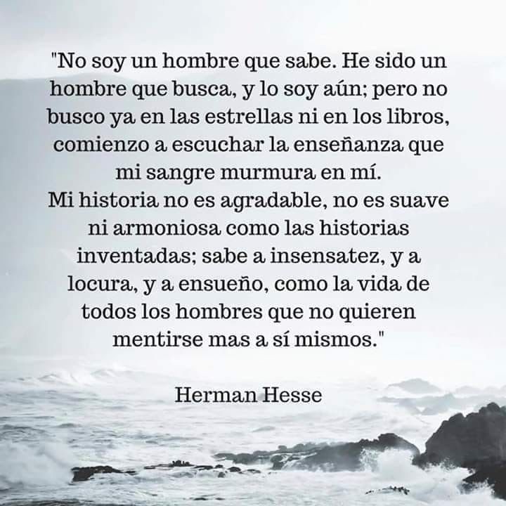 JulianRamirezT_'s tweet photo. El buscador... https://t.co/oOpR3G8yWY
