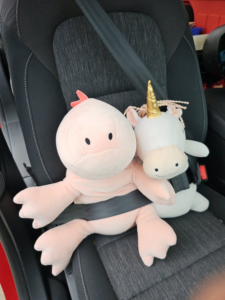 jfedolak's tweet photo. @diannaeanderson A small weighted blanket or object I got these guys at target They're 3lbs Great against the stomach, behind your back, a pillow, support under elbows, I've put them on my face during migraines. Made surgery so much easier https://t.co/NbzJW3UXpv