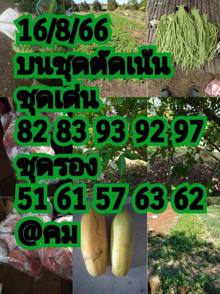 RHuay63's tweet photo. หวยเด็ด 16 สค 66
#หวยรัฐบาลไทย #หวยเด็ดๆ https://t.co/CzpZcIMY7E