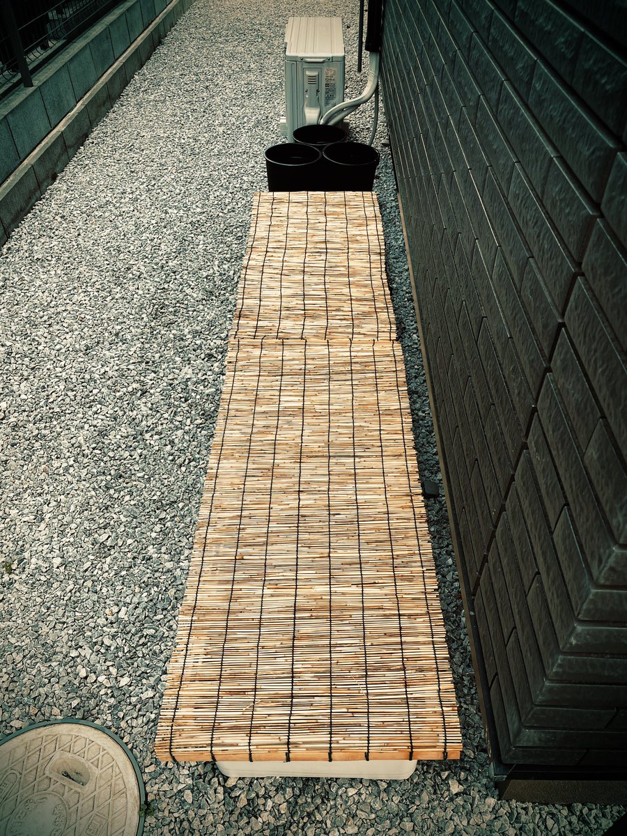 yrmedaka_'s tweet photo. 少しの間、飼育環境を変えました。温度や風通し、日照時間を見極め、めだかが心地よく過ごせるベストな環境をさぐっています。 #めだか #改良めだか #killifish https://t.co/pzSMRRRow0