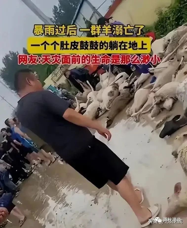 習腦時代✊️ ✊️ ✊️ tweet media