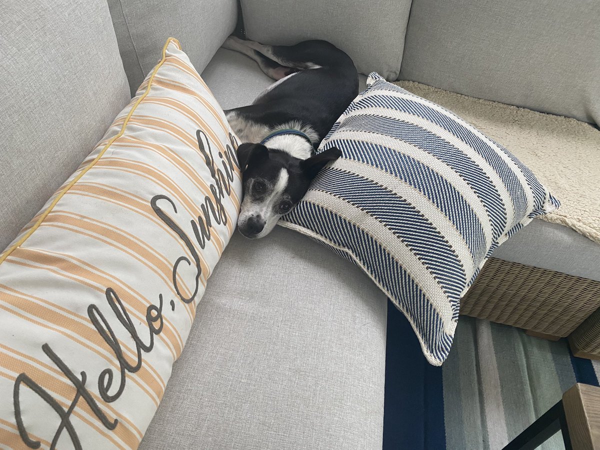 Ben Chiet 🇺🇸 tweet media