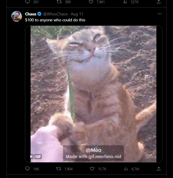 Fitz tweet media