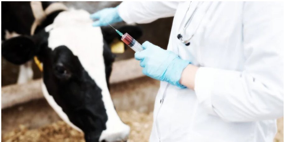 AlixG_2's tweet photo. Beef Company CEO: โIโll Shut Down the Company Before We Ship a Single Bag With mRNA-Injected Meatโ
Jason Nelson, CEO ofย Whole Cows
This is how we win. Do not comply. https://t.co/U0rYAFntsr