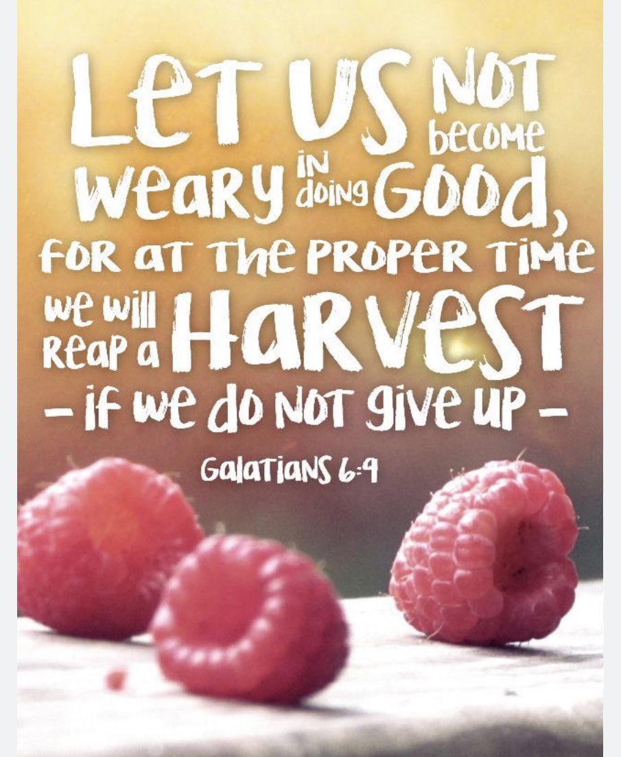 MarzellaStanle1's tweet image. #propertime 🫖🎩