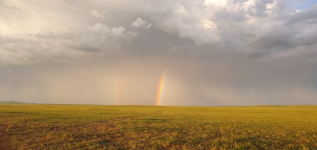 Хамаатныхаараа ороод хараад гарлаа
Найзынхаараа ороод тасраад гарлаа...