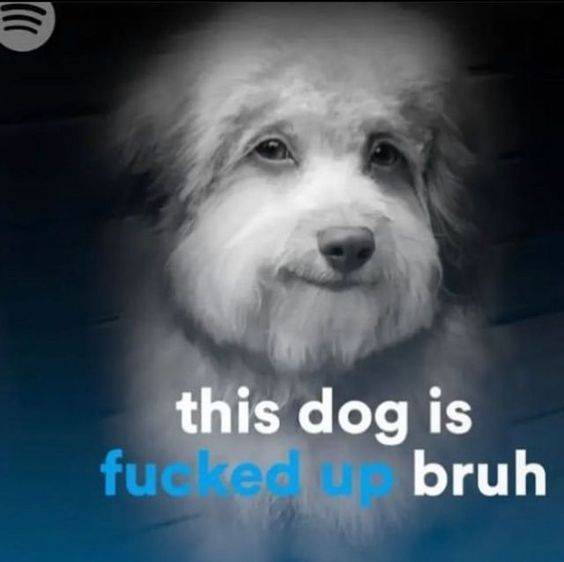 Awesome Minecraft Pig Shitposts tweet media