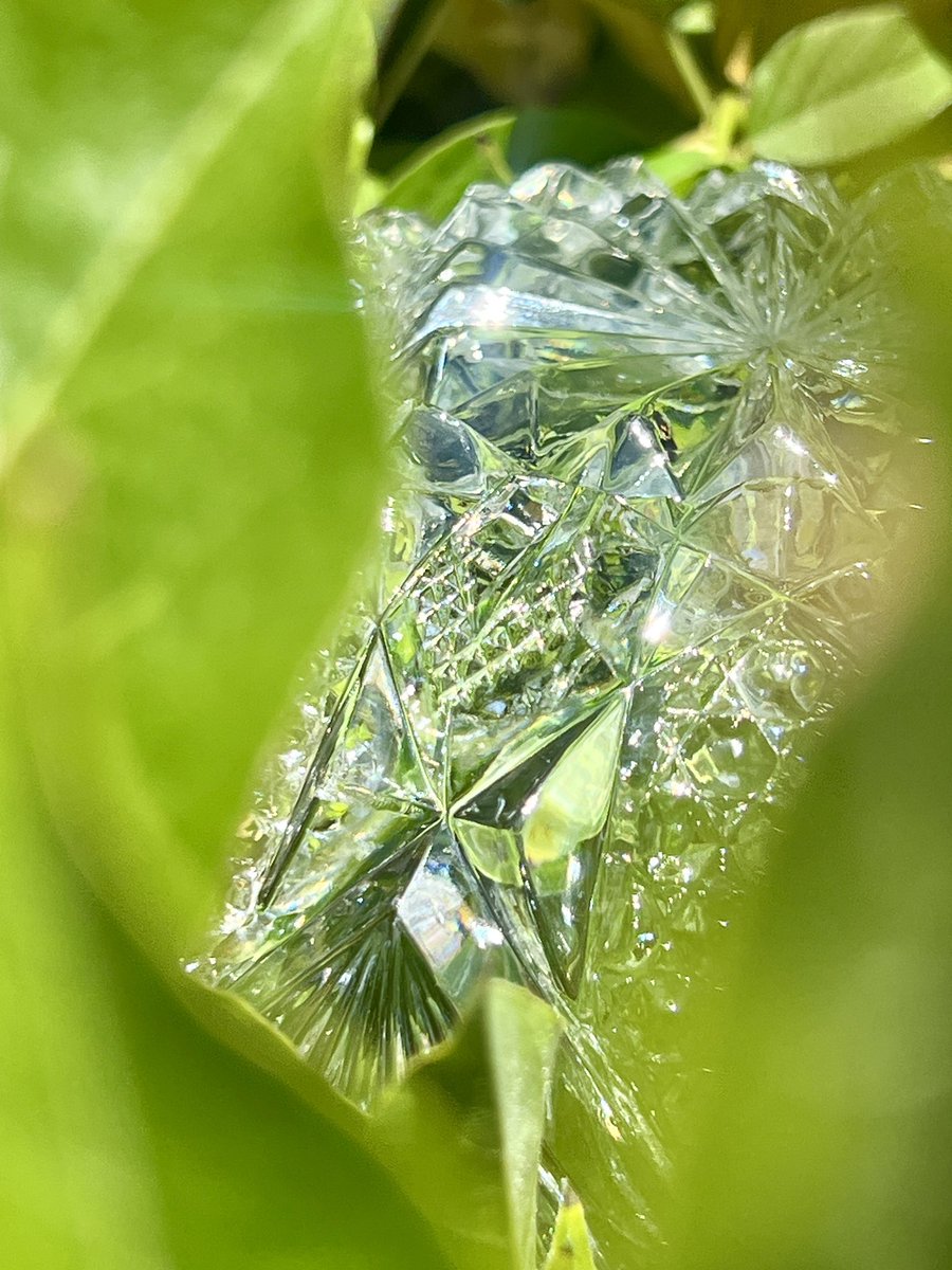 Emmett Feldman tweet media