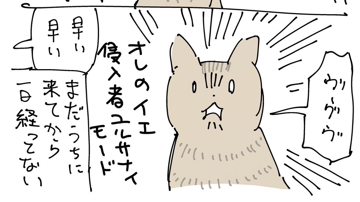 ここは(昨日まで野良暮らしだったのに)家猫の自覚の芽生えがあまりに早い!って意味です笑 窓の外にいる人影にはヴー!ってしてるけど、ドアから正規ルートで入室してくる者には初対面でもゴロニャンゴロニャン!している。かしこい…