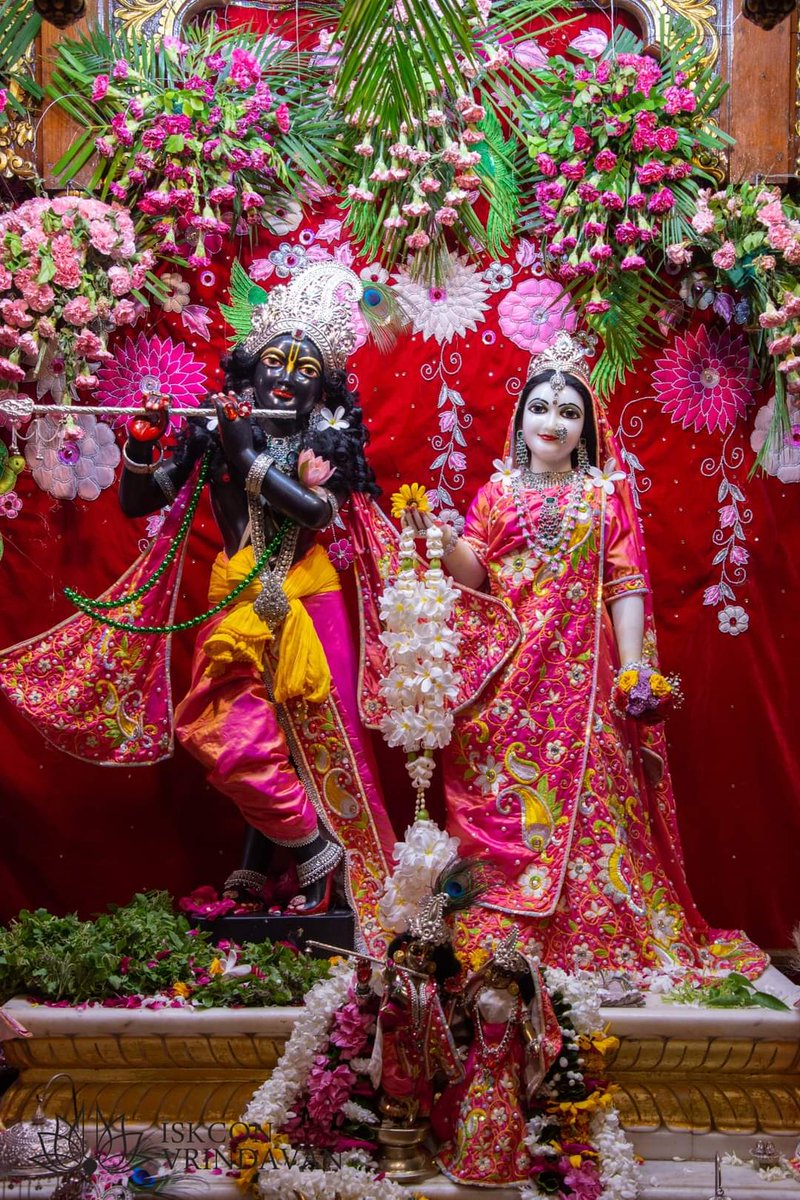 Radha Shyam Sundar 💖🍇🌻🍀