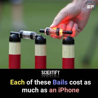ScientifyFacts's tweet photo. #facts #cricket #scientify https://t.co/FjZZfnqRFS