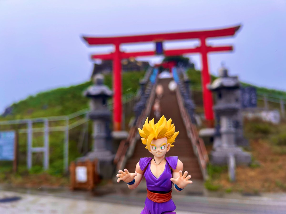 蕪島神社にカブで来た💪(  ˙꒳​˙💪  ) DBお守り2種類いただきました!!!  #アーツ悟飯旅