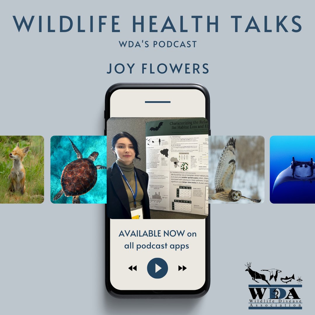 WDA - Wildlife Disease Association tweet media