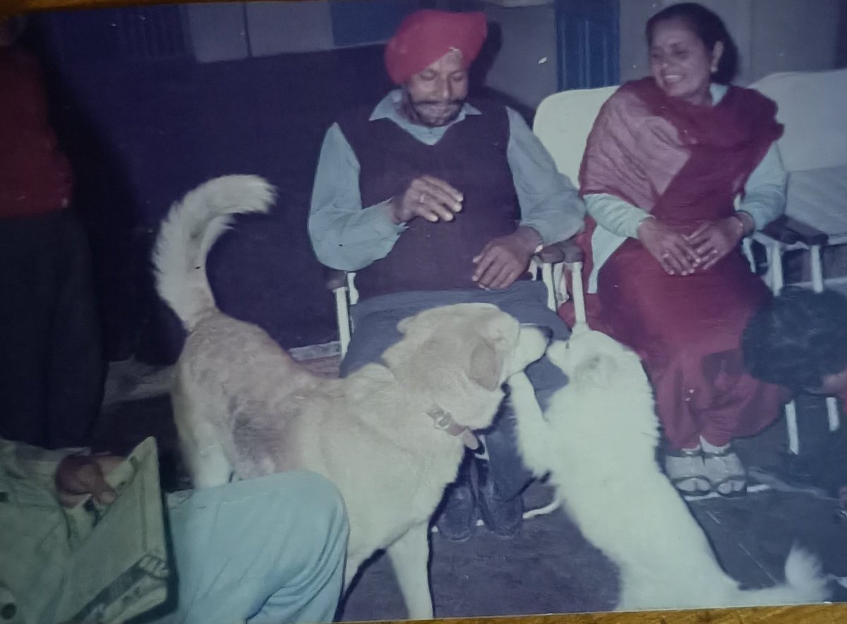 Pripal Singh E tweet media