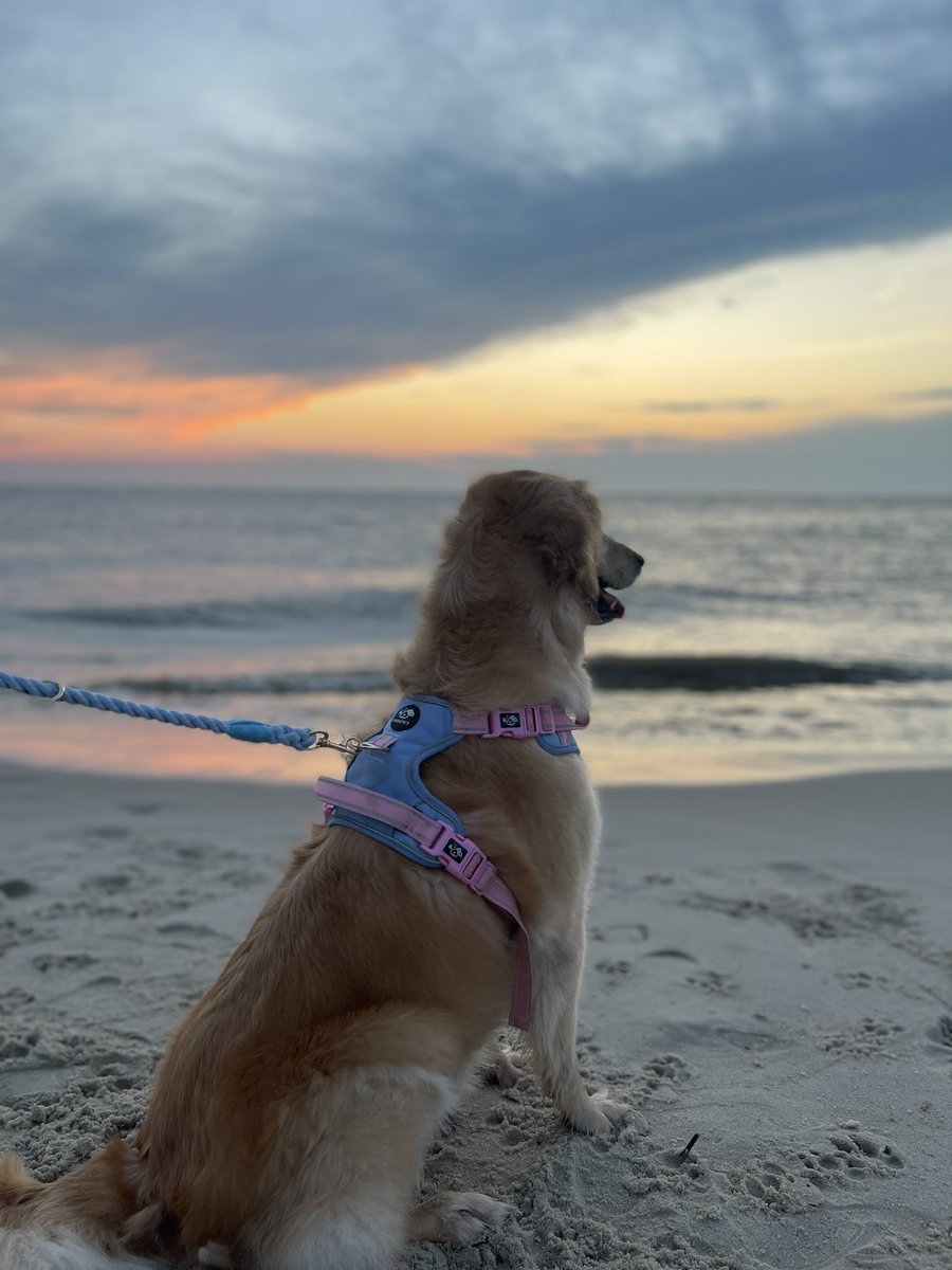 “Wow dad, that’s a really big pool”