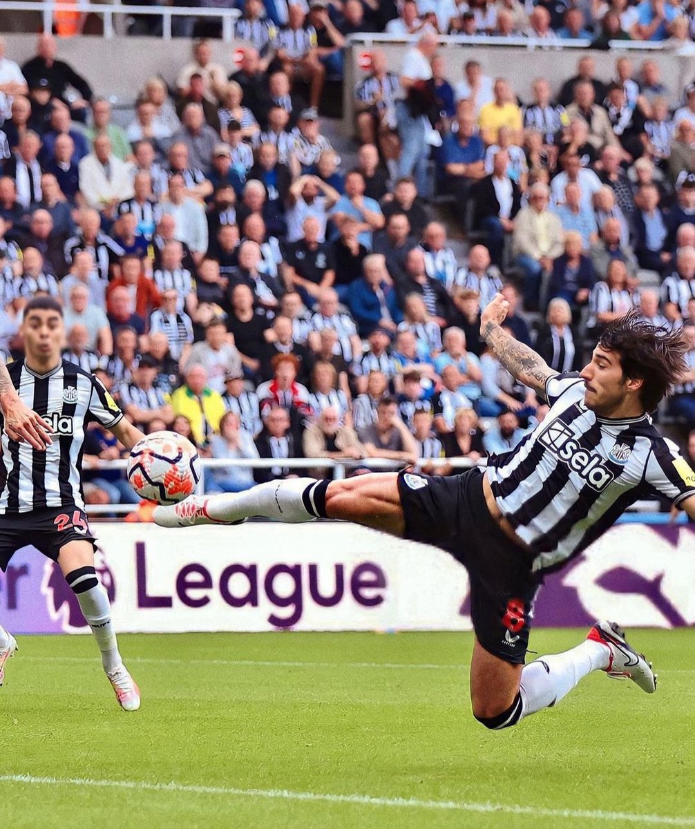 rossonerinewsid's tweet photo. Debut yang mengesankan bagi Tonali semalam, mainnya keren, hampir seluruh gol ada andil dia nya https://t.co/B9D5jzvdCr