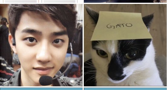 ‎‏َ tweet media