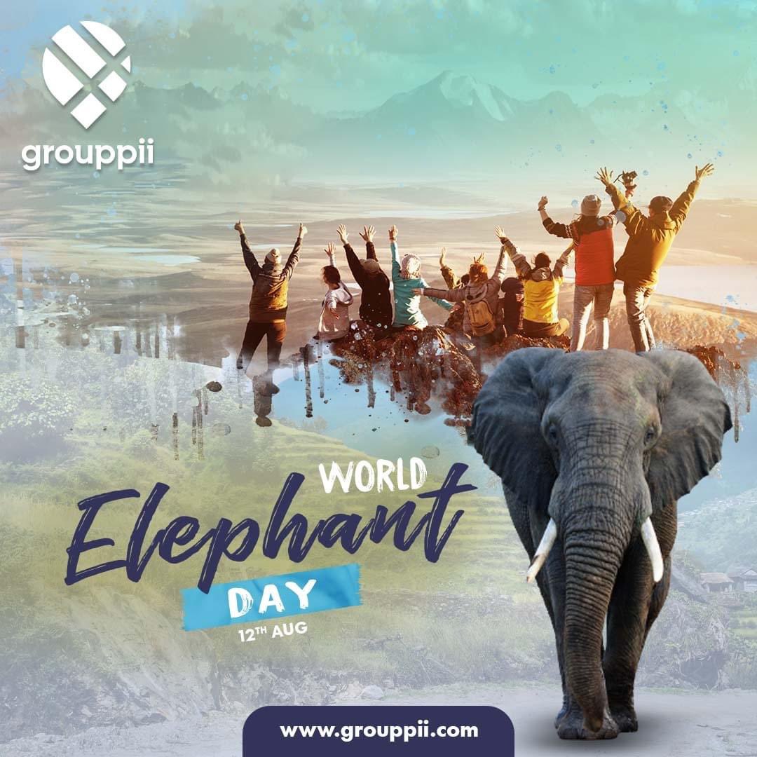 On #WorldElephantDay, let's honor the gentle giants that enrich our planet. Together, we can ensure a future where these magnificent creatures thrive. 🌍🐘 #SaveTheElephants #WildlifeProtection #ConservationEfforts  #Socialtravel #travelsocial

grouppii.com