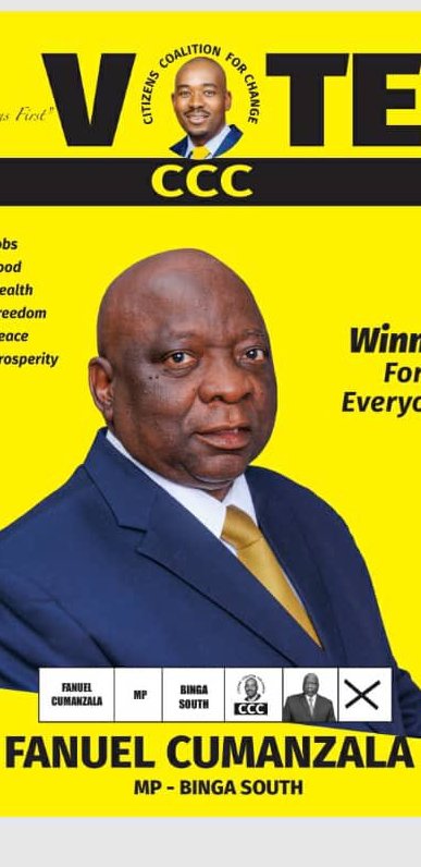 Hon <a href="/DubekoSibanda/">Prince Dubeko Sibanda</a> and Hon Fanuel Cumanzala altogether you have 48 unmapped polling stations, may you work together to win both Bingas for everyone. Time factor please.