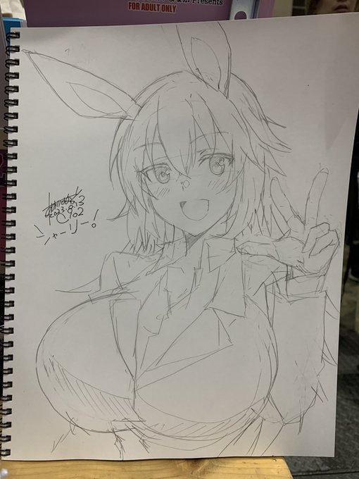 スケブシャーリー 