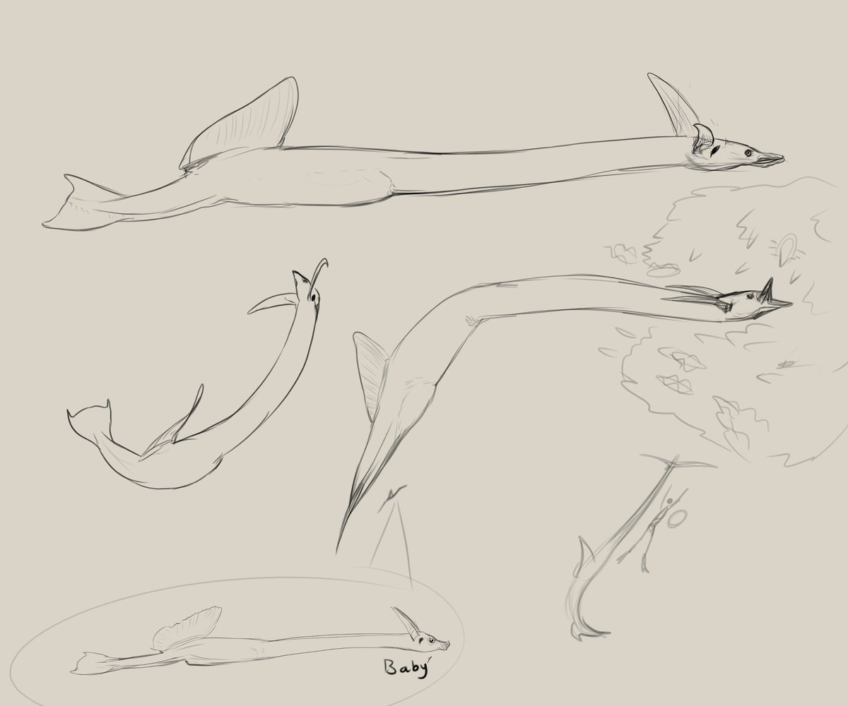 No ,we have elasmosaurs at home 

 Elasmosaurs at home :

Derived seahorses from my seeded world #bivalvopia ,I’m still developing the design so any critique is welcome