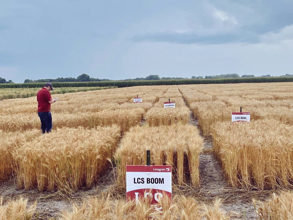 What a week in the USA! It's nice to reconnect in person with people who share a passion for this great #ag industry.  I'm enjoying my last craft #IPA in Fort Collins before heading to #Canada for some more #smashingplots fun!