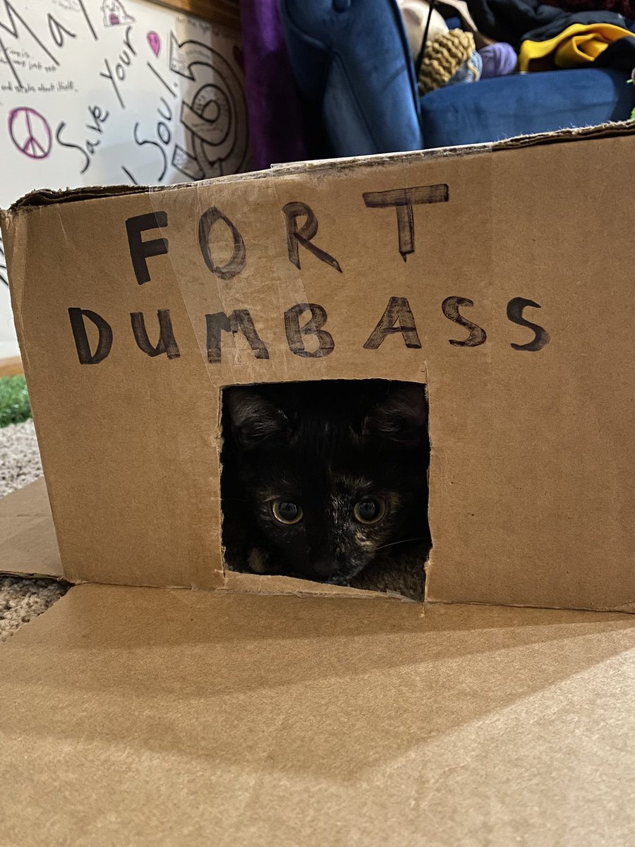 Thistle Witch (@witch_thistle) on Twitter photo 