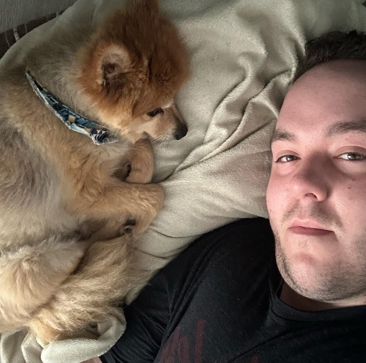 Aucune idée si je vais arriver à dormir cette nuit, sachant l’euthanasie de mon chien à lieu demain.. 🥺😭😭